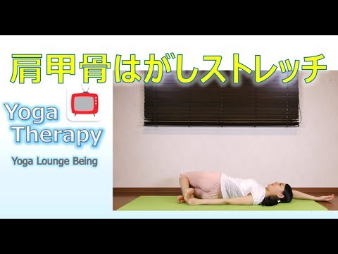 話題の肩甲骨はがしストレッチで不調改善 【肩甲骨はがしストレッチ】 ヨガポール