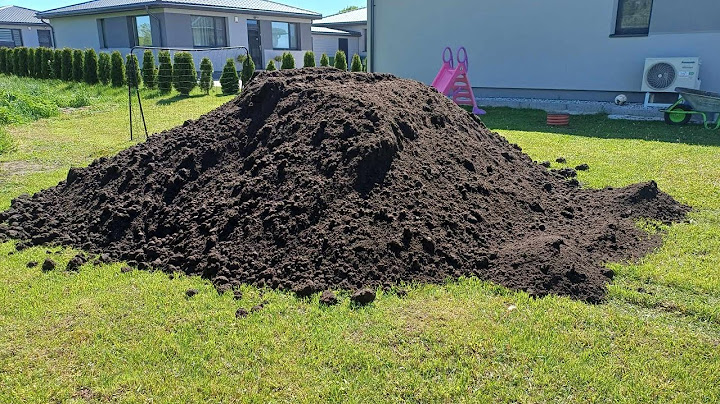 planting your lawn by hand, the start