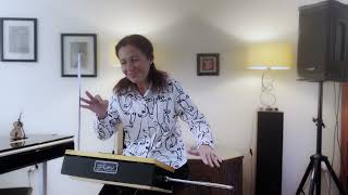 THEREMIN, How To - STRANGERS IN THE NIGHT - Run Through