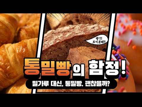 밀가루 대신 통밀빵은 괜찮다?/다이어트/빵중독/건강빵/다이어트빵/통밀빵의 함정