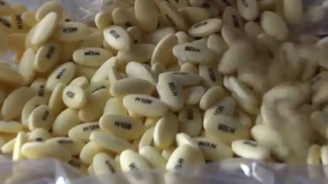 TABLET / CAPSULE PRINTING MACHINE