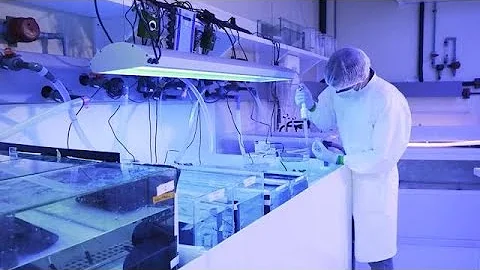 Atoms for life: tackling global challenges with nuclear science - DayDayNews