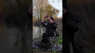 new pb chub