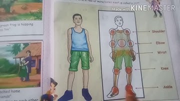 2 Grade, Science - EVS,  Unit 2, My Amazing Body & Book back Exercise,   Term 1, Samacheer