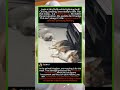 Cat Provokes, Corgi Becomes a "Breathing Rug"? Not Reacting Is Peak Defense #CorgiVsCat
