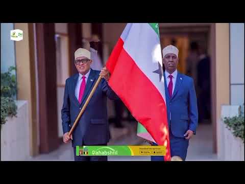 Https Vm Tiktok Com ZMDYo6AmG 