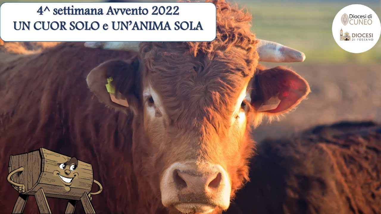 "Un cuor solo e un'anima sola" 4^ sett. Avvento 2022 Video bambini