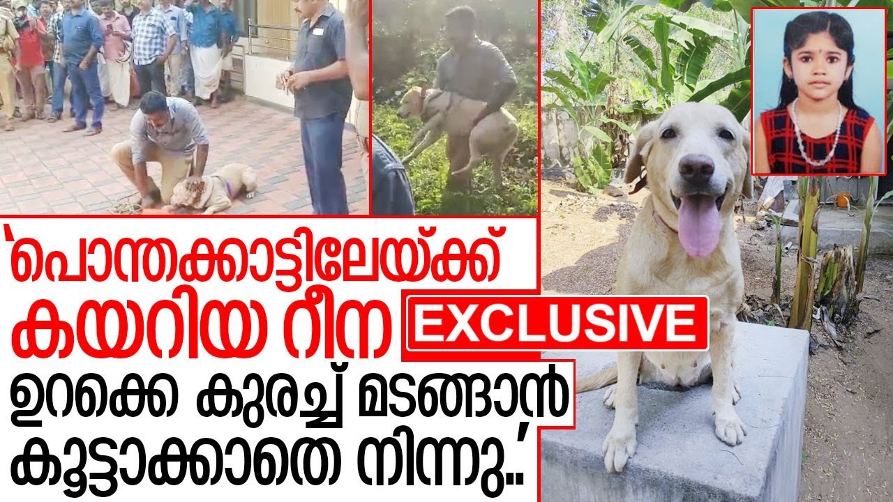 റീന പൊന്തക്കാട്ടില്‍ നിന്ന് കുരച്ചത് ആരുടെ സാന്നിദ്ധ്യം തിരിച്ചറിഞ്ഞ്?  I   Kollam ithikkara