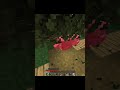 Тг чат в профиле #minecraft #horror #майнкрафт #funny #memes #прикол #fyr #gaming