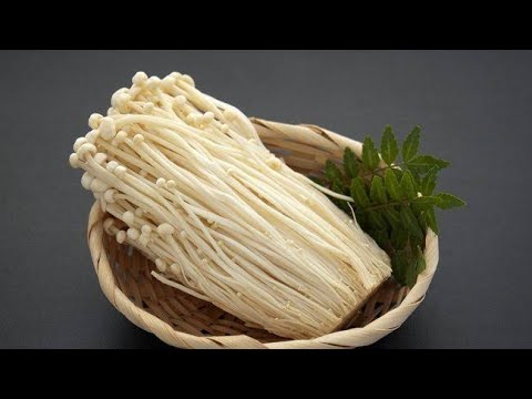 Jamur Enoki Harganya