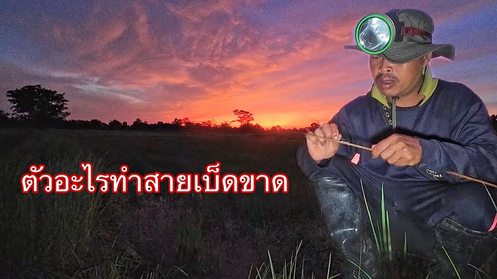 อะไรจะขนาดนั้น ดิ้นจนป่าราบ สายเบ็ดขาดไป2คัน มันคือตัวอะไรมากินเบ็ด ตั้งแคมป์ใส่เบ็ดนอนคืน