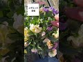 上手な人がやっている「ある習慣」〇〇の日はやろう!#shorts