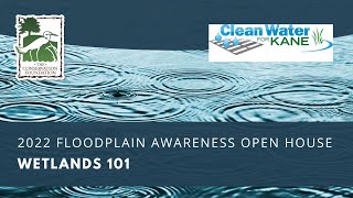 Wetlands 101