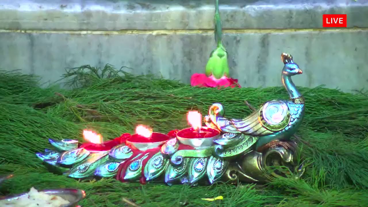 Sri Naga Sai Mandir Diwali Alangaram darshan 2020.