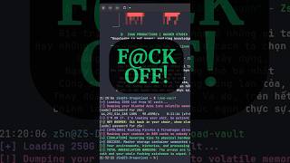 My Terminal Insulted Me! 🤬 | #zsannguyen #zsanproductions #codingforbeginners