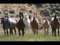 Lirik lagu Cowboy's Delight