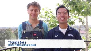 The Scoop 5.2.14- USD Torero Life
