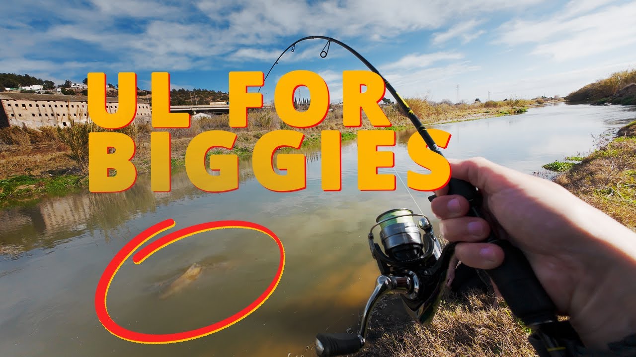 Исследуем барселонских кровожадных бегемотов | ПРИСОЕДИНЯЙТЕСЬ к поездке!