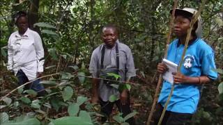 Inventaire forestier, Pourquoi