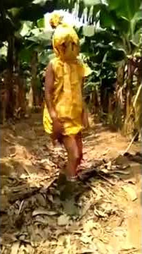 Pocong menari di kebun pisang