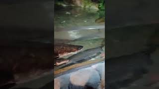 Vid 20211225 152808