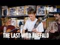 The Last Wild Buffalo | Live From Relix