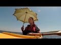 雷に打たれた少女が冒険を繰り広げるファンタジー!映画『セシウムと少女』特報
