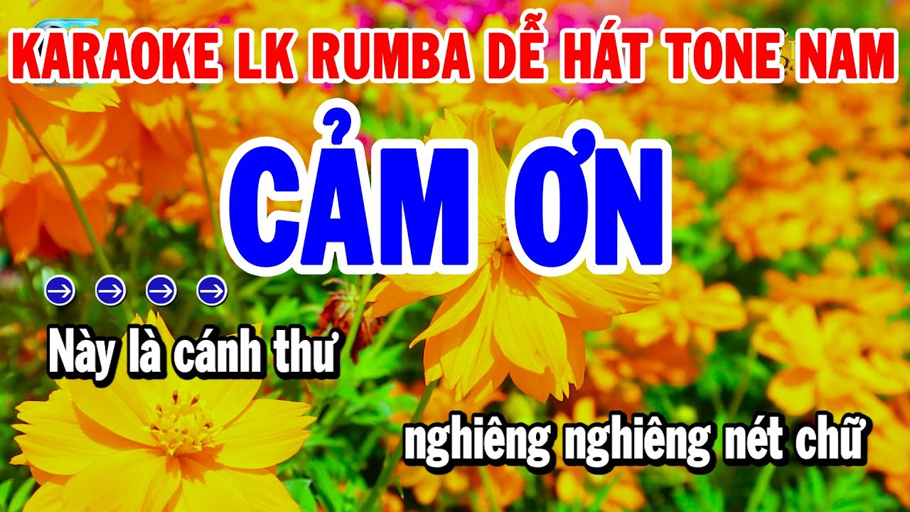 Karaoke Liên Khúc Tone Nam Nhạc Sống Rumba Chuẩn Dễ Hát | Cảm Ơn - Hoa Trinh Nữ | Thanh Hải