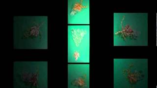 Motion4 Second Trial