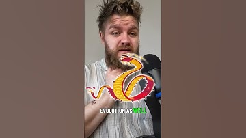 NEW Pokemon Debut during Bug Out 2025🍬#pokemongo #bug #shinypokemon