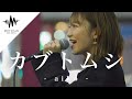 【人気急上昇中!?】気付いたら多くの人が足を止めて聴いていた歌声がマジで凄かった!! カブトムシ / aiko (Covered By 武田レイナ)