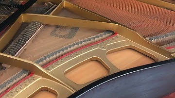 Piano string conditioning and cleaning - Educational Video