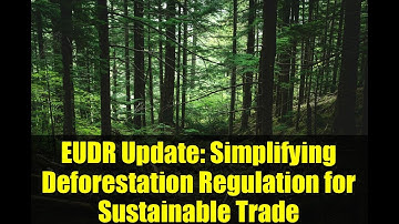 EUDR Update: Simplifying Deforestation Regulation for Sustainable Trade