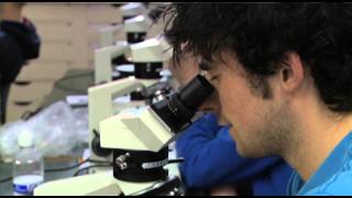 Studying Earth and Ocean Sciences at NUI Galway