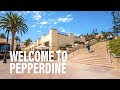 Pepperdine  intro  the college tour