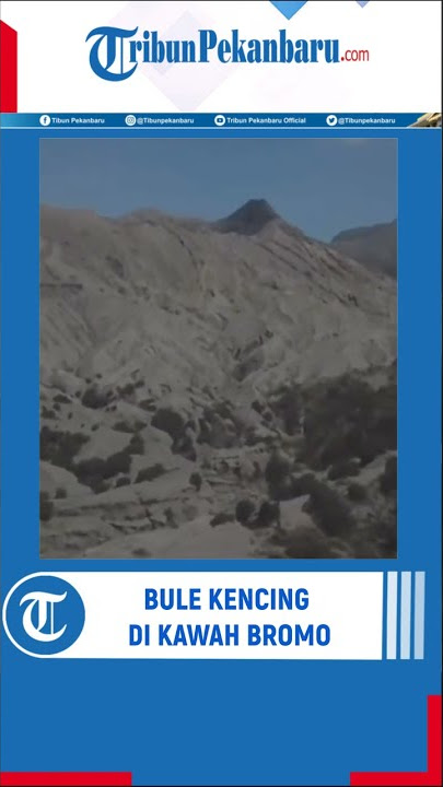 Viral, Bule Rekam Aksi Kencing di Kawah Gunung Bromo