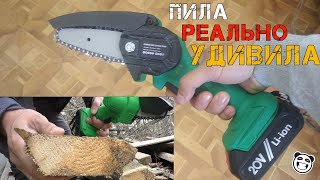 Эта аккумуляторная цепная пила с Aliexpress способна пилить доски! Обзор, разборка и тест.