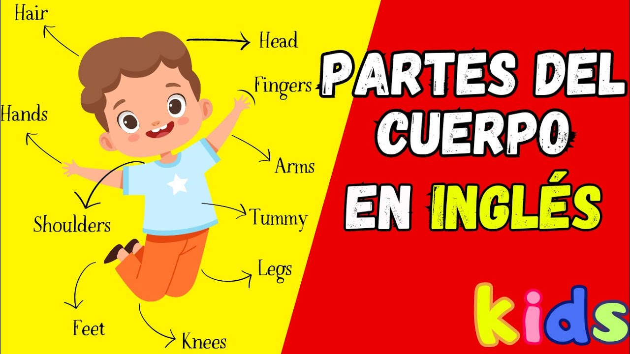 Cómo Pronunciar las Partes del Cuerpo en Inglés - Inglés para Niños