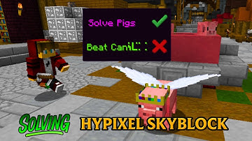 I Solved The Year Of The Pig (Hypixel Skyblock)