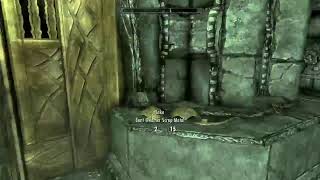 Elder Scrolls V: Skyrim. Lost to the ages bug