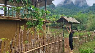 Building a Gate for a Forest Farm, A Girl Leaves the City to Build a New Life