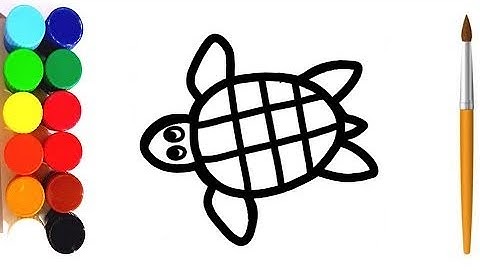 how to draw a tortoise for kids | tortoise drawing for kids | tortoise drawing