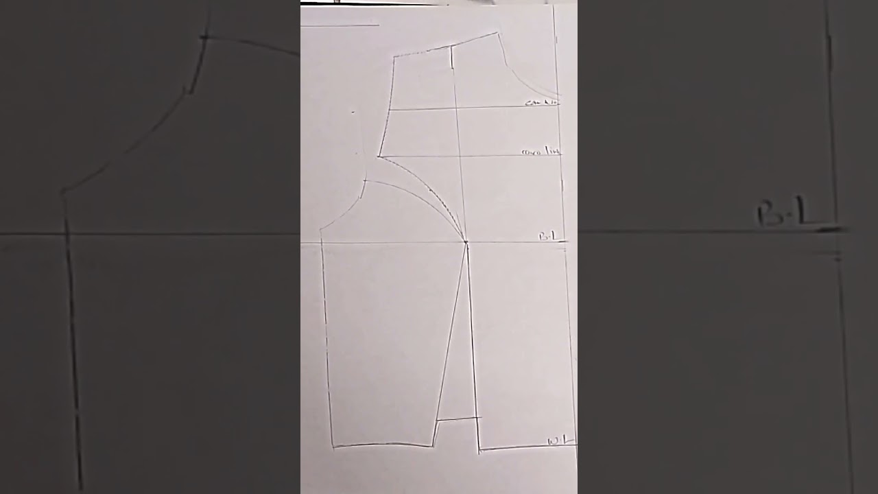 princess seams/princess panel bodies/fashion trend 2024