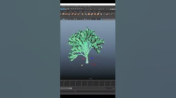 Tree Animation