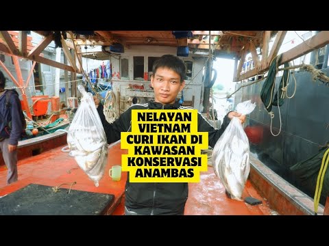 MAKIN BERANI, KAPAL VIETNAM PAKAI BENDERA INDONESIA MENCURI IKAN