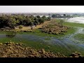 Jumbo Junction 