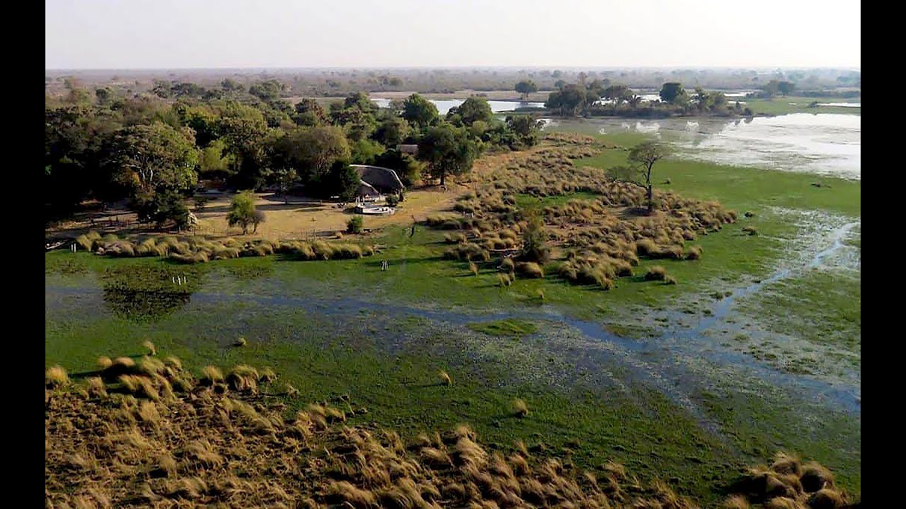 Jumbo Junction Camp, Okavango Delta