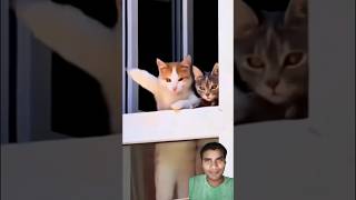 chips ke liye pahle dance karna padega #funny #dailyessentials #comedy #funnymoment #crazycomedy
