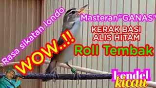 BURUNG KERAK BASI MASTERAN NGAMUK KASAR