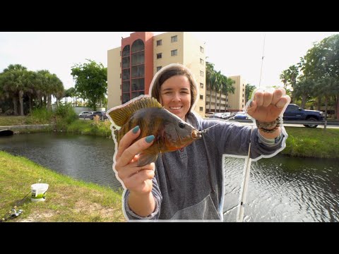 Fishing Urban Miami